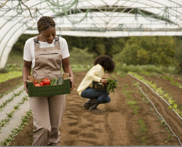 full-shot-women-farming-together