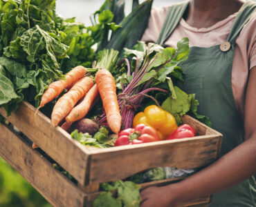 Person, vegetables box and agriculture, sustainability or farming for supply chain or agro business. Farmer, seller or supplier with harvest and gardening for NGO, nonprofit and food or groceries.