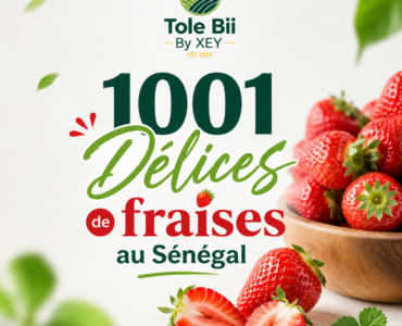 fraises fraîches