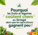 Pourquoi les fruits et légumes coûtent chers au Sénégal alors que les agriculteurs gagnent peu ?